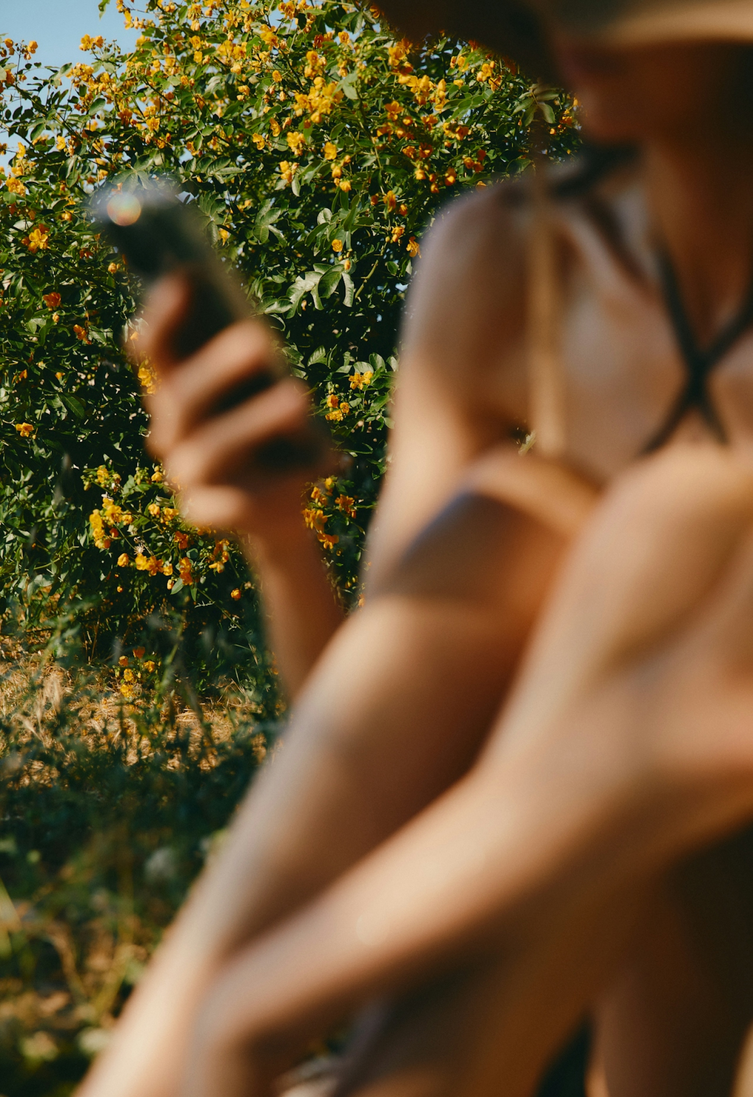 Local recommendations map